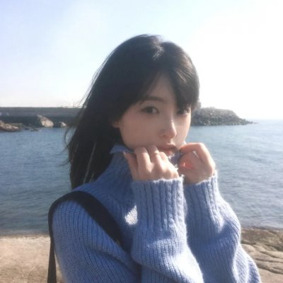 没人瞭波斯猫